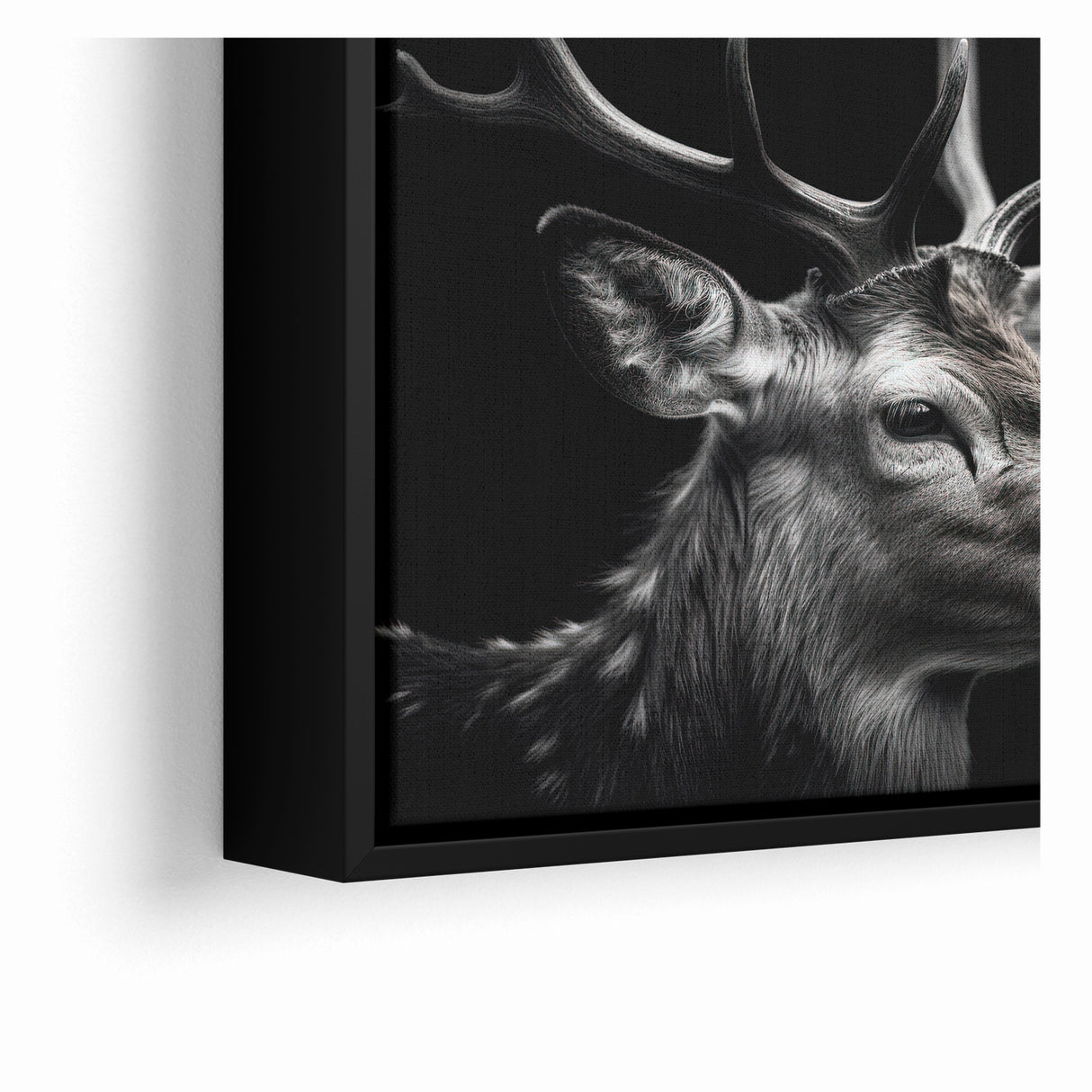 Majestic Antelope Wildlife Art - Stunning Black & White Antelope Canvas