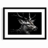 Majestic Antelope Wildlife Art - Stunning Black & White Antelope Canvas