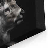 Majestic Antelope Wildlife Art - Stunning Black & White Antelope Canvas