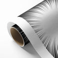 Radiant Black and White Abstract Art | Burst Monochrome Canvas Design