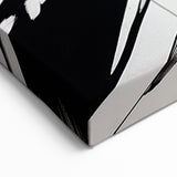 Dynamic Black and White Abstract Art | Splash Monochrome Canvas Design
