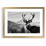 Graceful Antelope Wildlife Art - Majestic Antelope Canvas Print