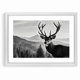 Graceful Antelope Wildlife Art - Majestic Antelope Canvas Print