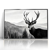 Graceful Antelope Wildlife Art - Majestic Antelope Canvas Print