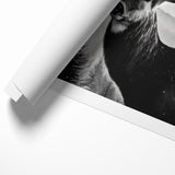 Graceful Antelope Wildlife Art - Majestic Antelope Canvas Print