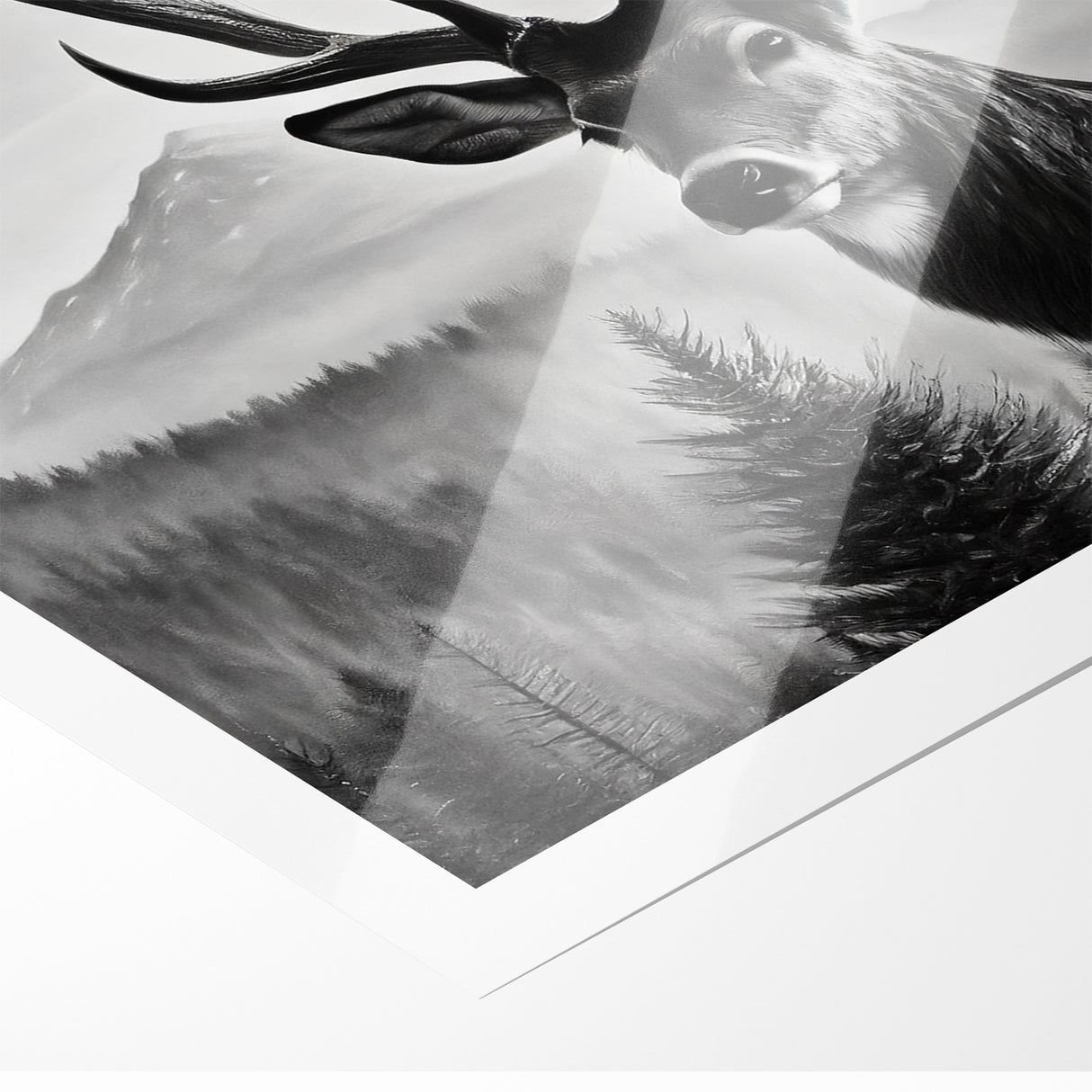 Graceful Antelope Wildlife Art - Majestic Antelope Canvas Print