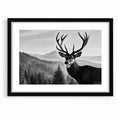 Graceful Antelope Wildlife Art - Majestic Antelope Canvas Print