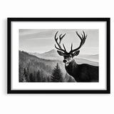 Graceful Antelope Wildlife Art - Majestic Antelope Canvas Print