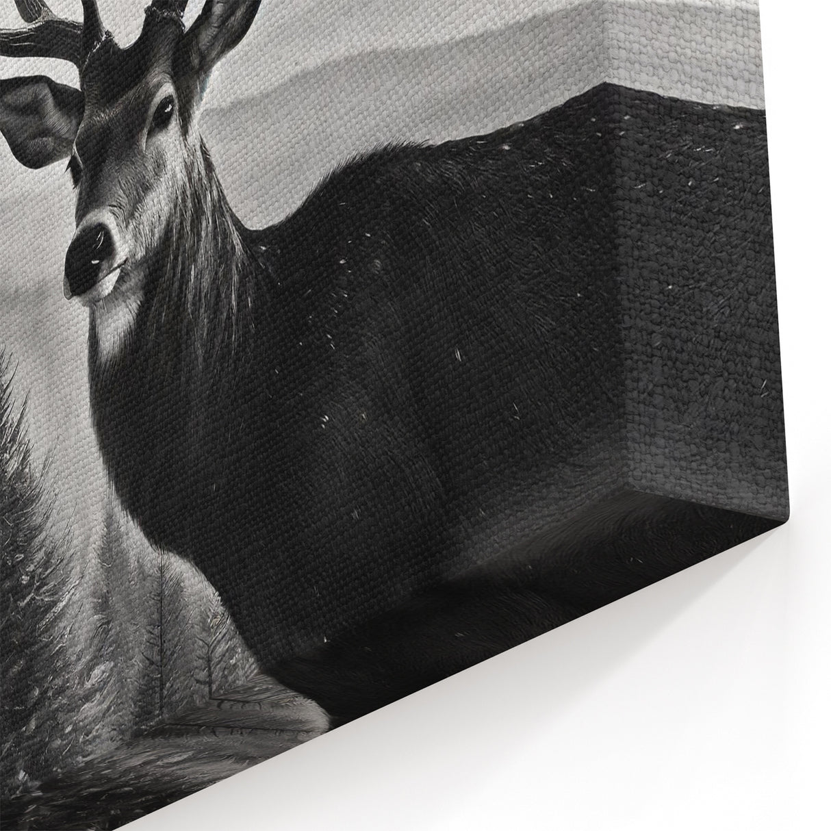 Graceful Antelope Wildlife Art - Majestic Antelope Canvas Print