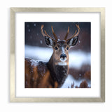 Stunning Antelope Photography - Elegant Wildlife Wall Art Print