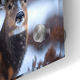 Stunning Antelope Photography - Elegant Wildlife Wall Art Print