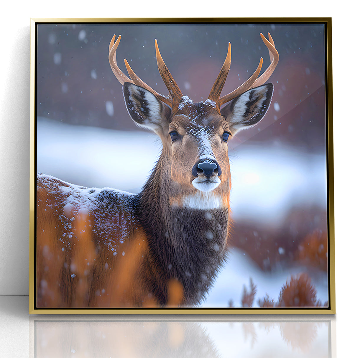 Stunning Antelope Photography - Elegant Wildlife Wall Art Print