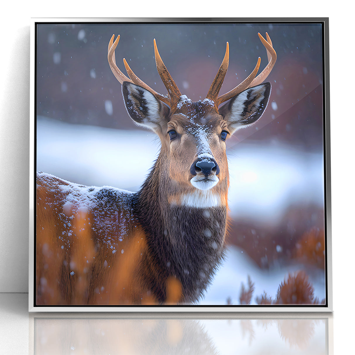 Stunning Antelope Photography - Elegant Wildlife Wall Art Print