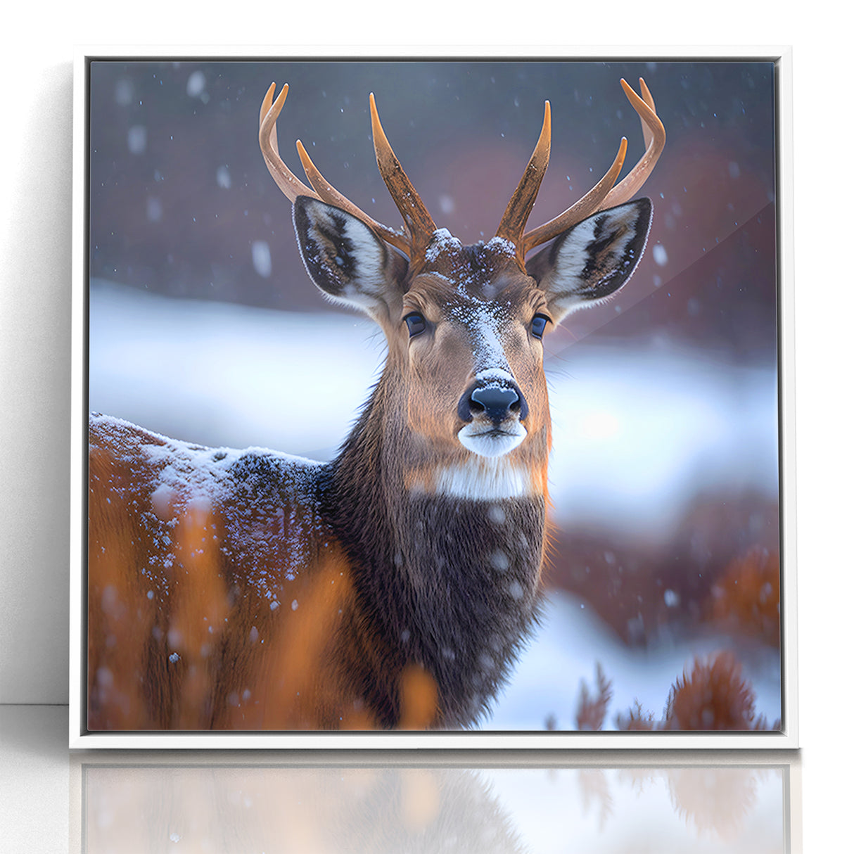 Stunning Antelope Photography - Elegant Wildlife Wall Art Print
