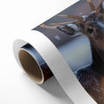 Stunning Antelope Photography - Elegant Wildlife Wall Art Print