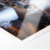 Stunning Antelope Photography - Elegant Wildlife Wall Art Print