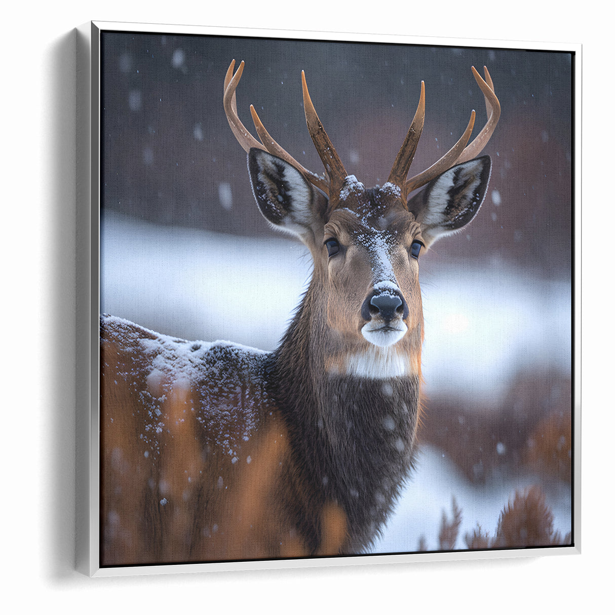 Stunning Antelope Photography - Elegant Wildlife Wall Art Print