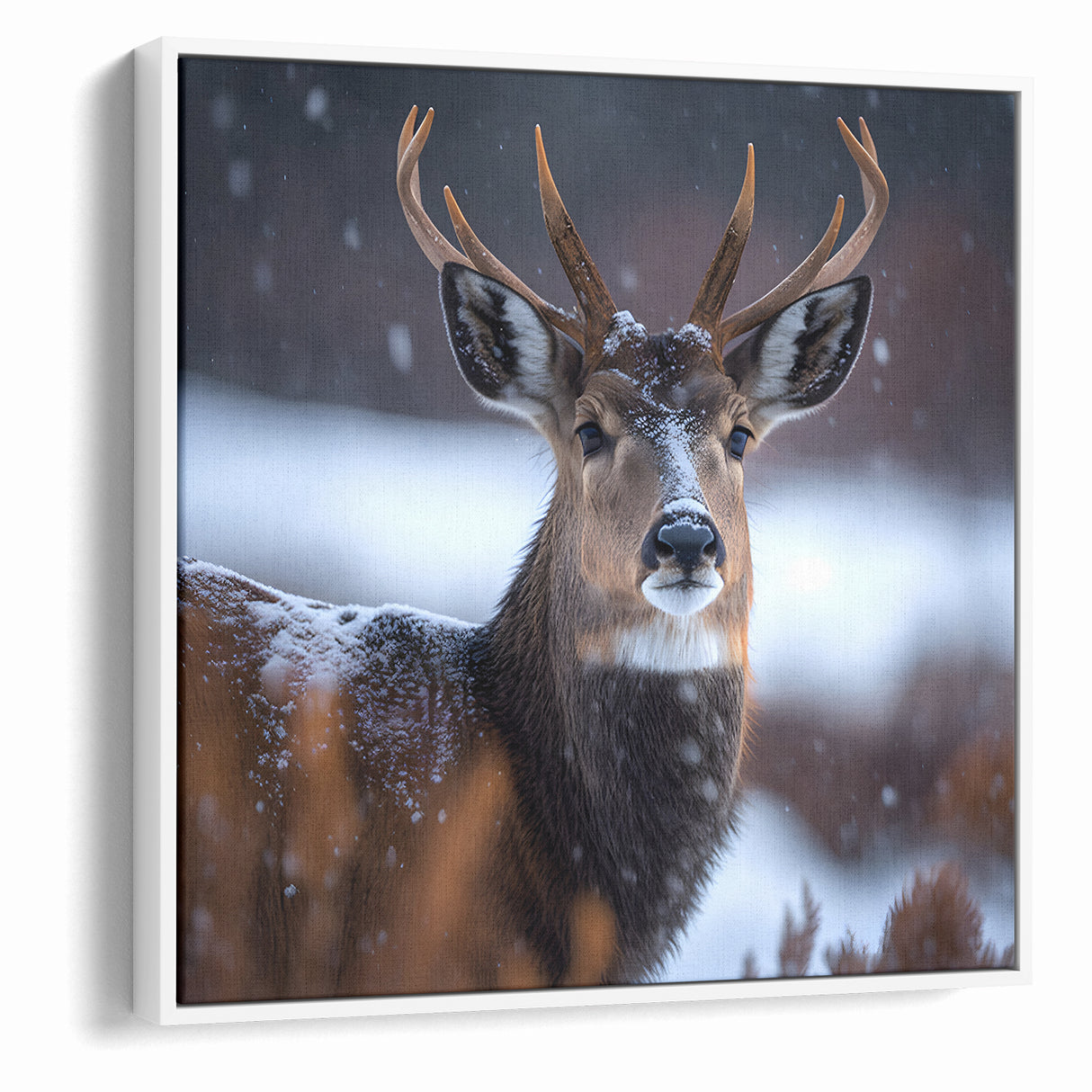 Stunning Antelope Photography - Elegant Wildlife Wall Art Print