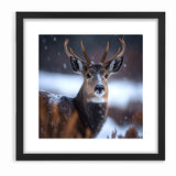 Stunning Antelope Photography - Elegant Wildlife Wall Art Print