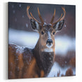 Stunning Antelope Photography - Elegant Wildlife Wall Art Print