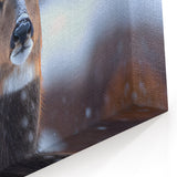 Stunning Antelope Photography - Elegant Wildlife Wall Art Print