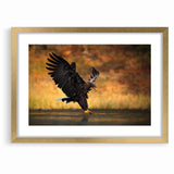 Majestic Birds of Prey Wildlife Art – Graceful Eagle Wall Decor Print