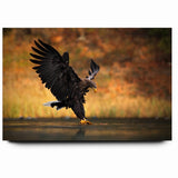 Majestic Birds of Prey Wildlife Art – Graceful Eagle Wall Decor Print
