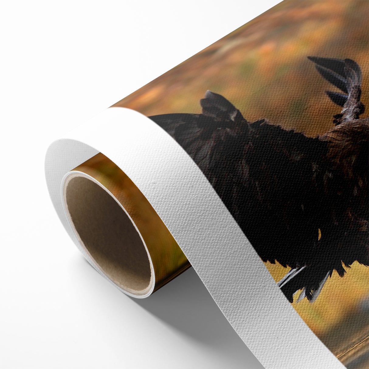 Majestic Birds of Prey Wildlife Art – Graceful Eagle Wall Decor Print
