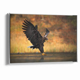 Majestic Birds of Prey Wildlife Art – Graceful Eagle Wall Decor Print