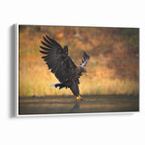 Majestic Birds of Prey Wildlife Art – Graceful Eagle Wall Decor Print