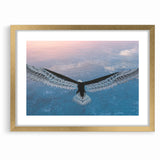 Stunning Birds of Prey Nature Art – Soaring Eagle Wall Decor Canvas
