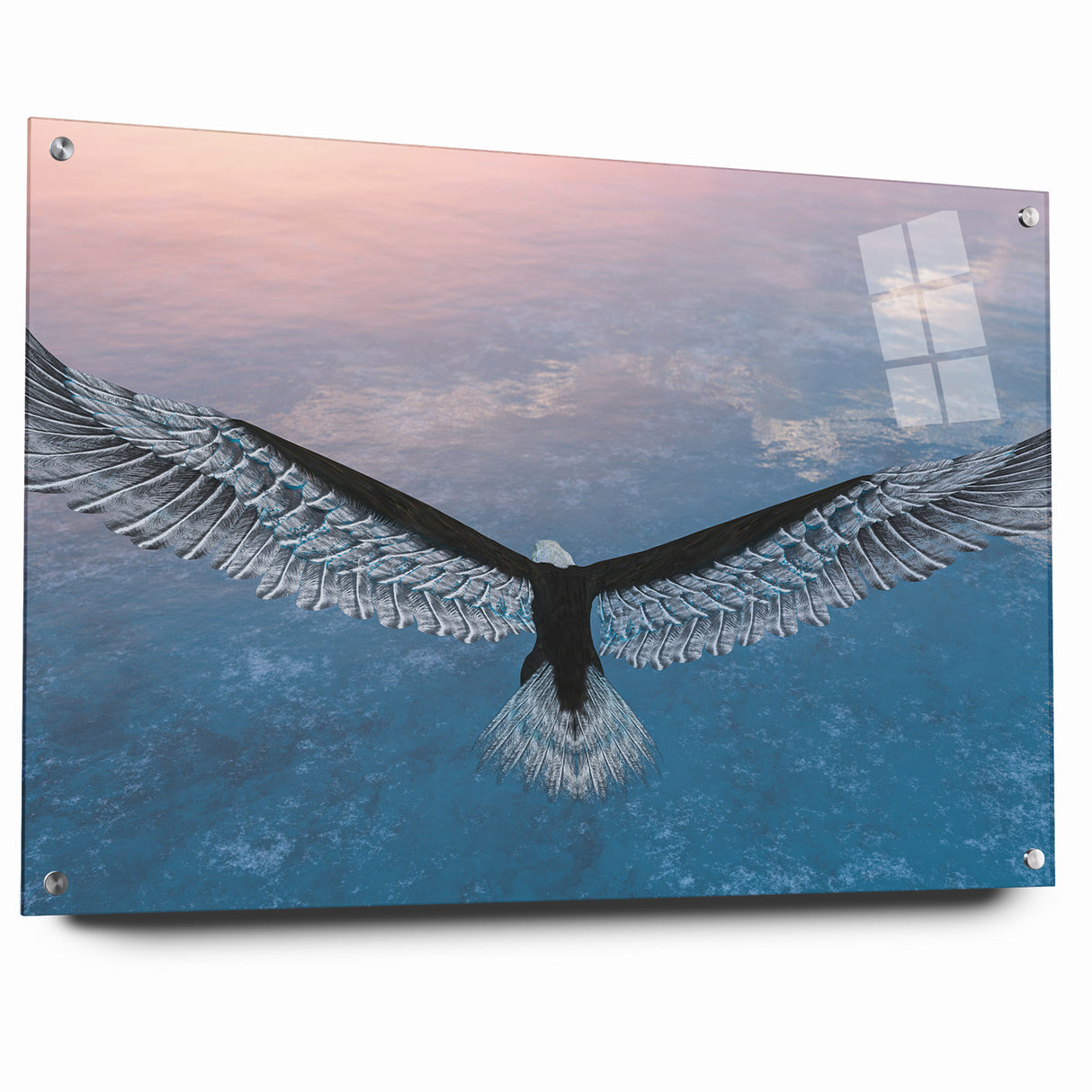Stunning Birds of Prey Nature Art – Soaring Eagle Wall Decor Canvas