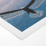 Stunning Birds of Prey Nature Art – Soaring Eagle Wall Decor Canvas