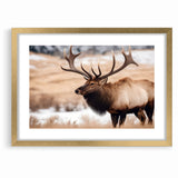 Graceful Antelope Wildlife Art - Elegant African Antelope Print Canvas