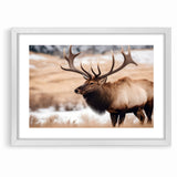 Graceful Antelope Wildlife Art - Elegant African Antelope Print Canvas