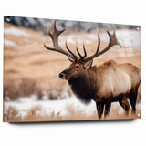 Graceful Antelope Wildlife Art - Elegant African Antelope Print Canvas