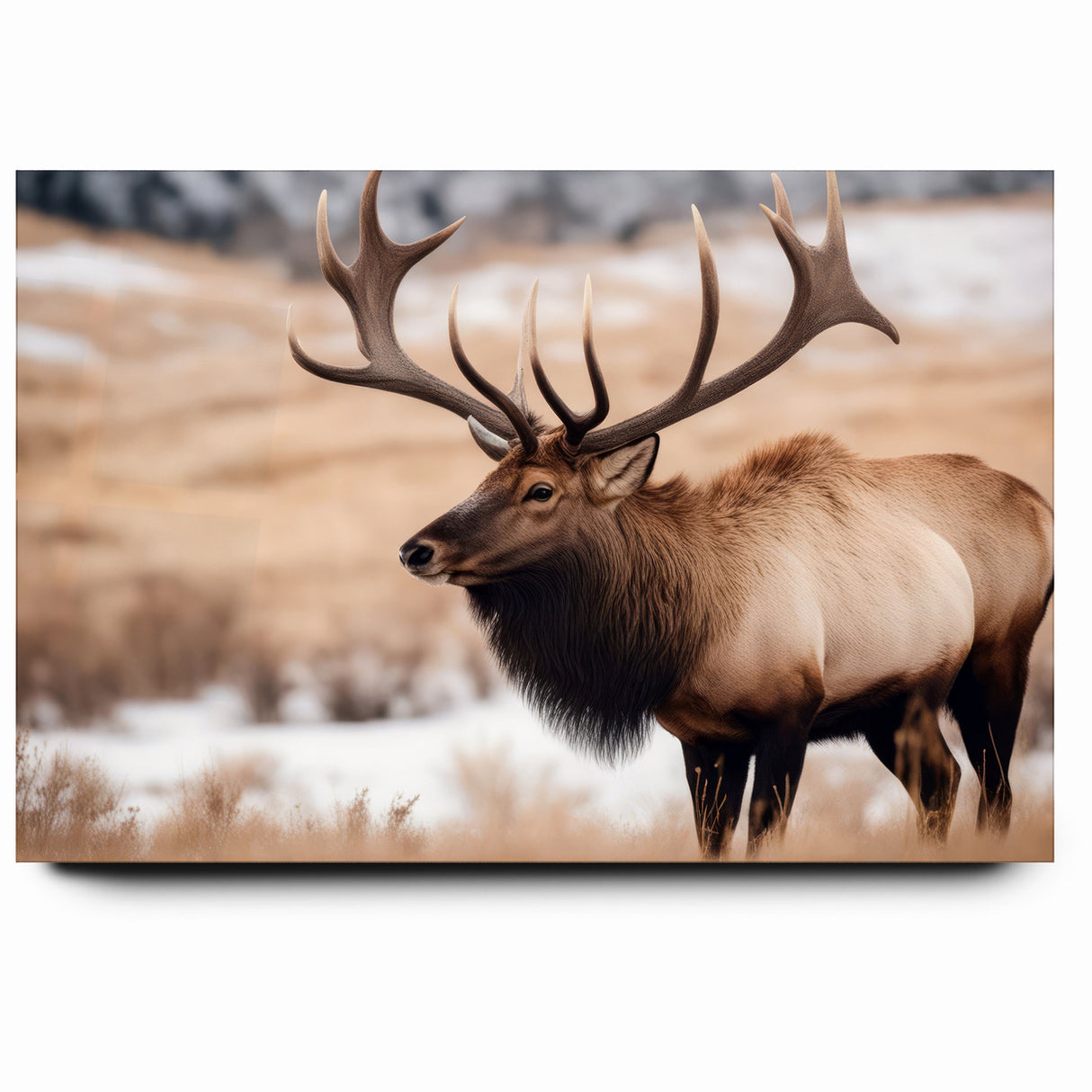 Graceful Antelope Wildlife Art - Elegant African Antelope Print Canvas