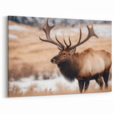 Graceful Antelope Wildlife Art - Elegant African Antelope Print Canvas