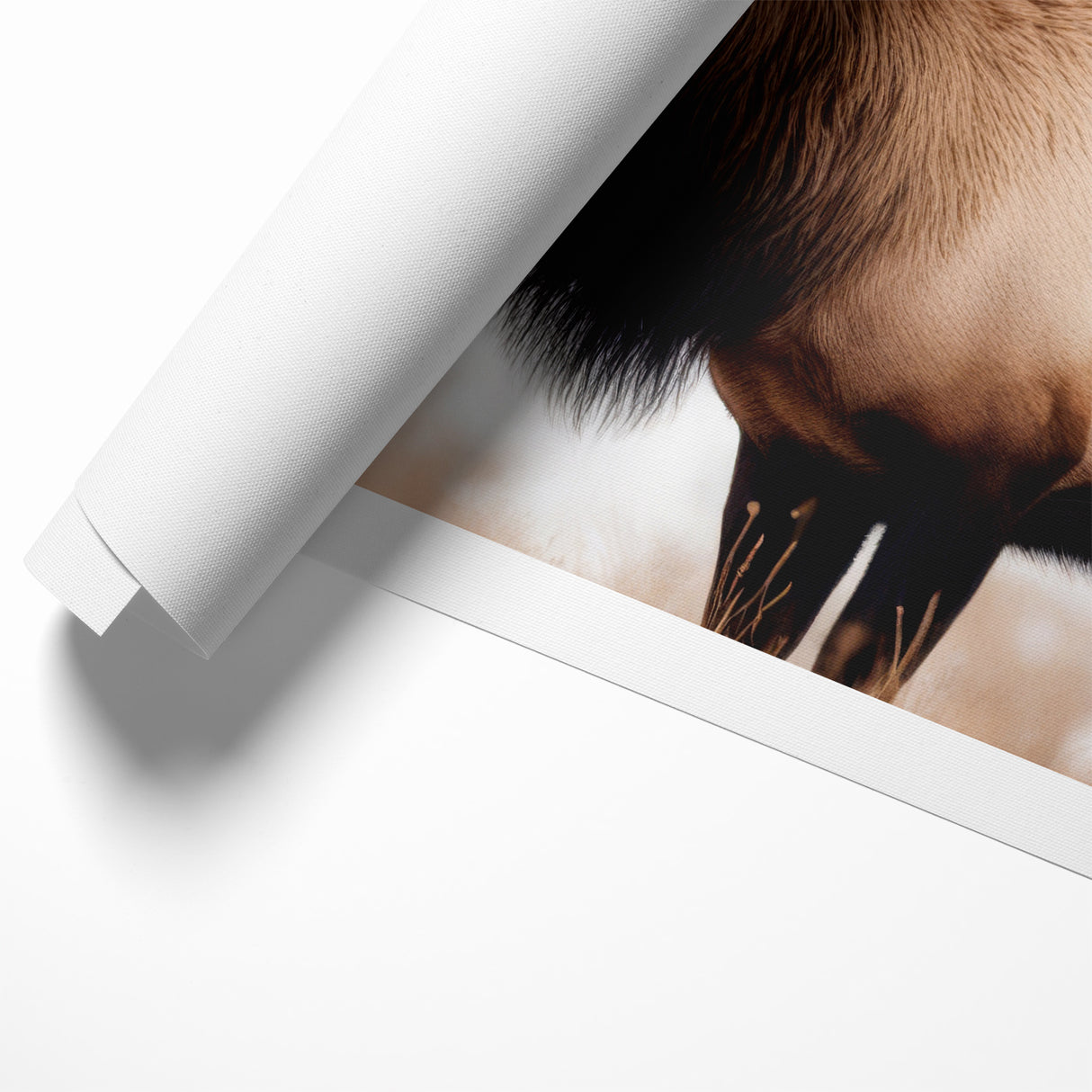 Graceful Antelope Wildlife Art - Elegant African Antelope Print Canvas