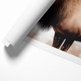 Graceful Antelope Wildlife Art - Elegant African Antelope Print Canvas