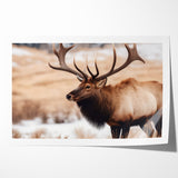 Graceful Antelope Wildlife Art - Elegant African Antelope Print Canvas