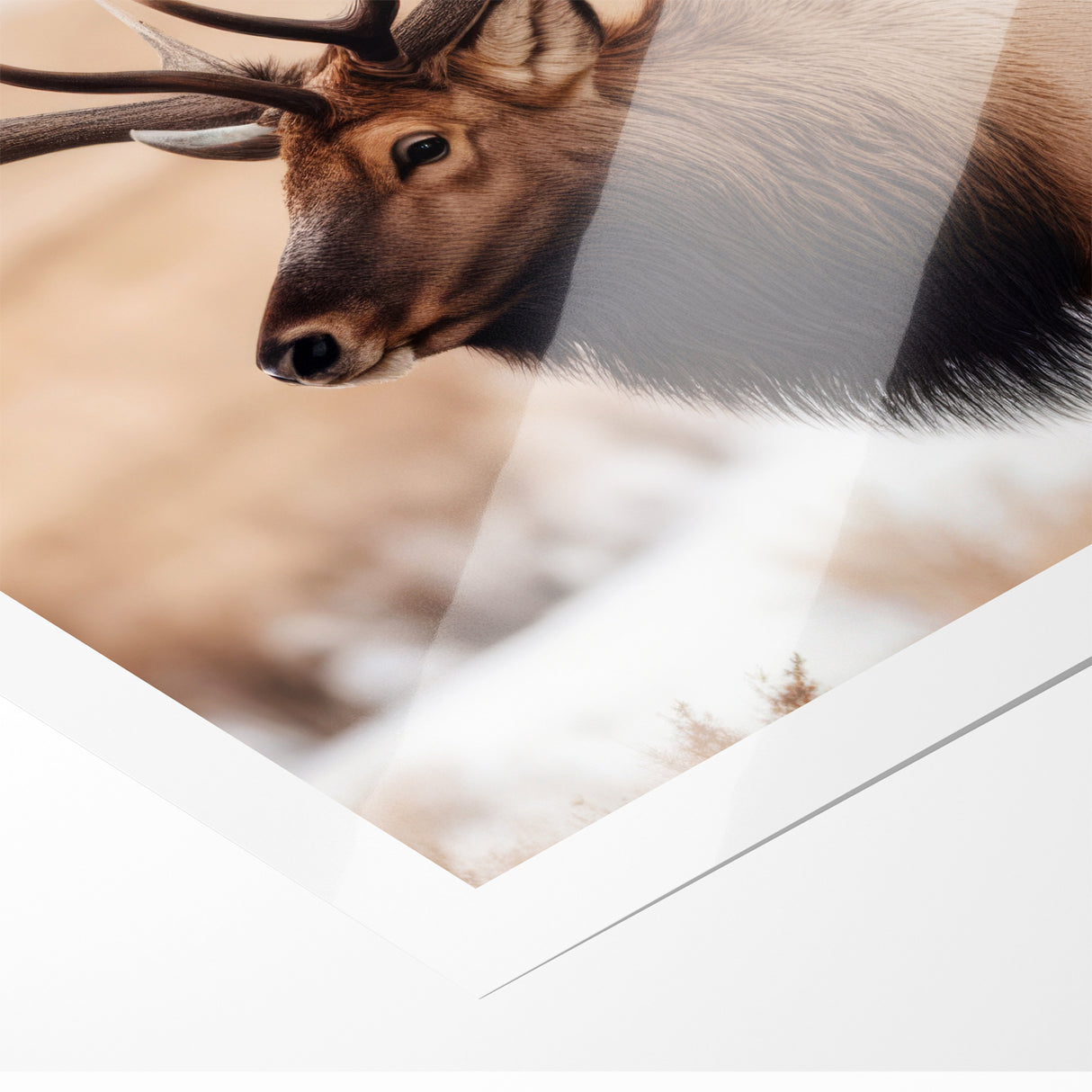 Graceful Antelope Wildlife Art - Elegant African Antelope Print Canvas