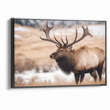 Graceful Antelope Wildlife Art - Elegant African Antelope Print Canvas