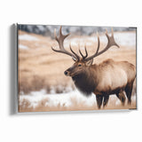 Graceful Antelope Wildlife Art - Elegant African Antelope Print Canvas