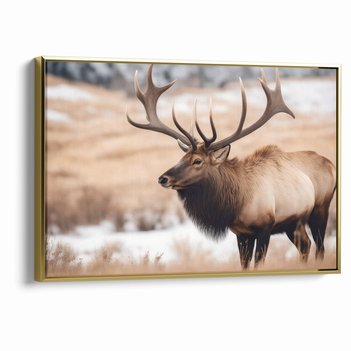 Graceful Antelope Wildlife Art - Elegant African Antelope Print Canvas