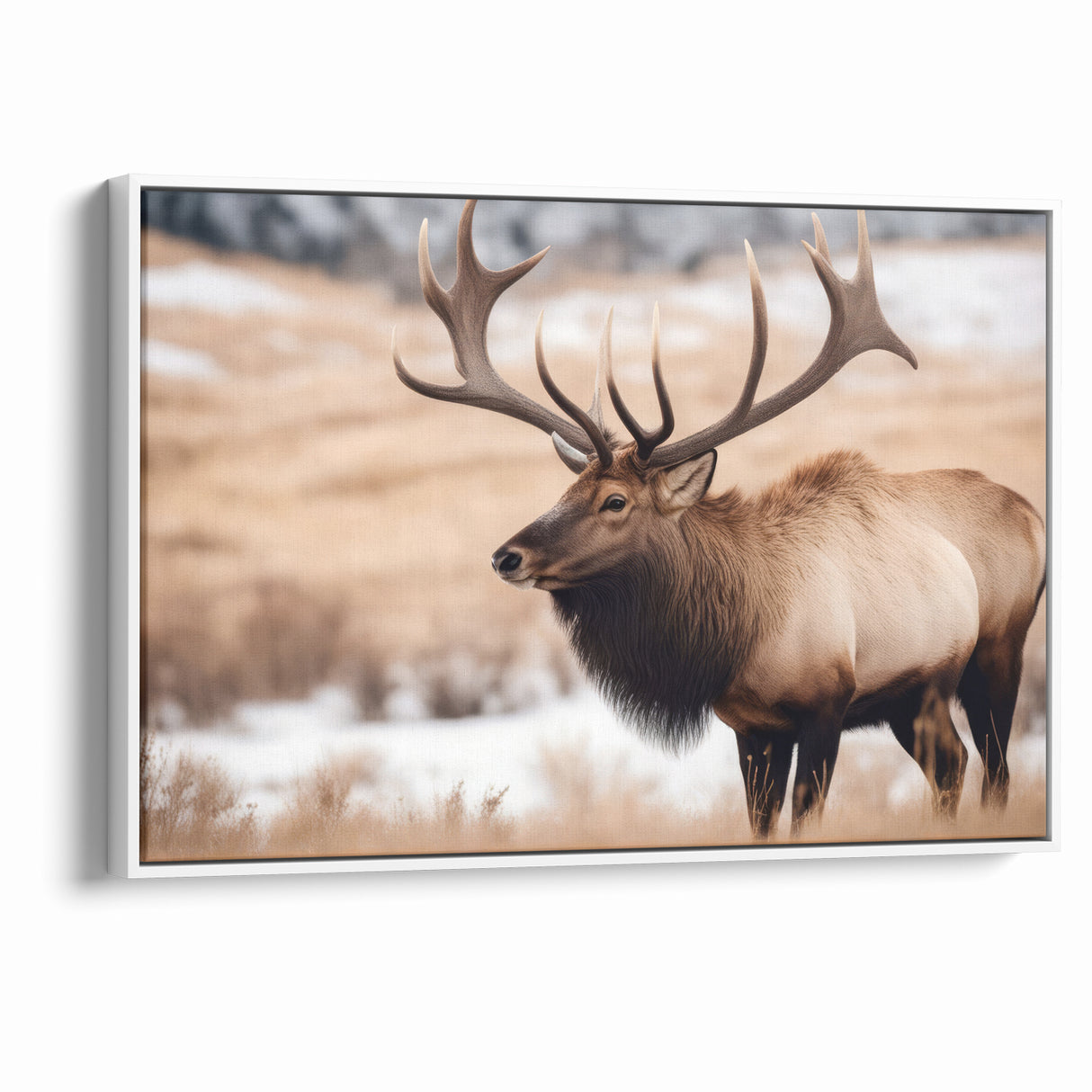 Graceful Antelope Wildlife Art - Elegant African Antelope Print Canvas