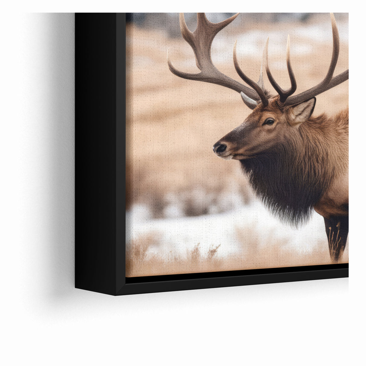 Graceful Antelope Wildlife Art - Elegant African Antelope Print Canvas