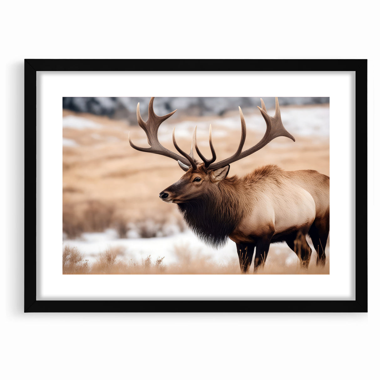 Graceful Antelope Wildlife Art - Elegant African Antelope Print Canvas