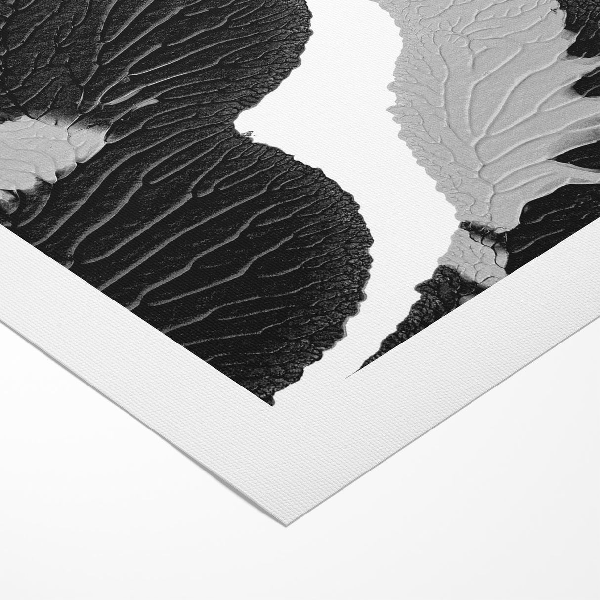 Textured Black and White Abstract Art | Monochrome Canvas Design