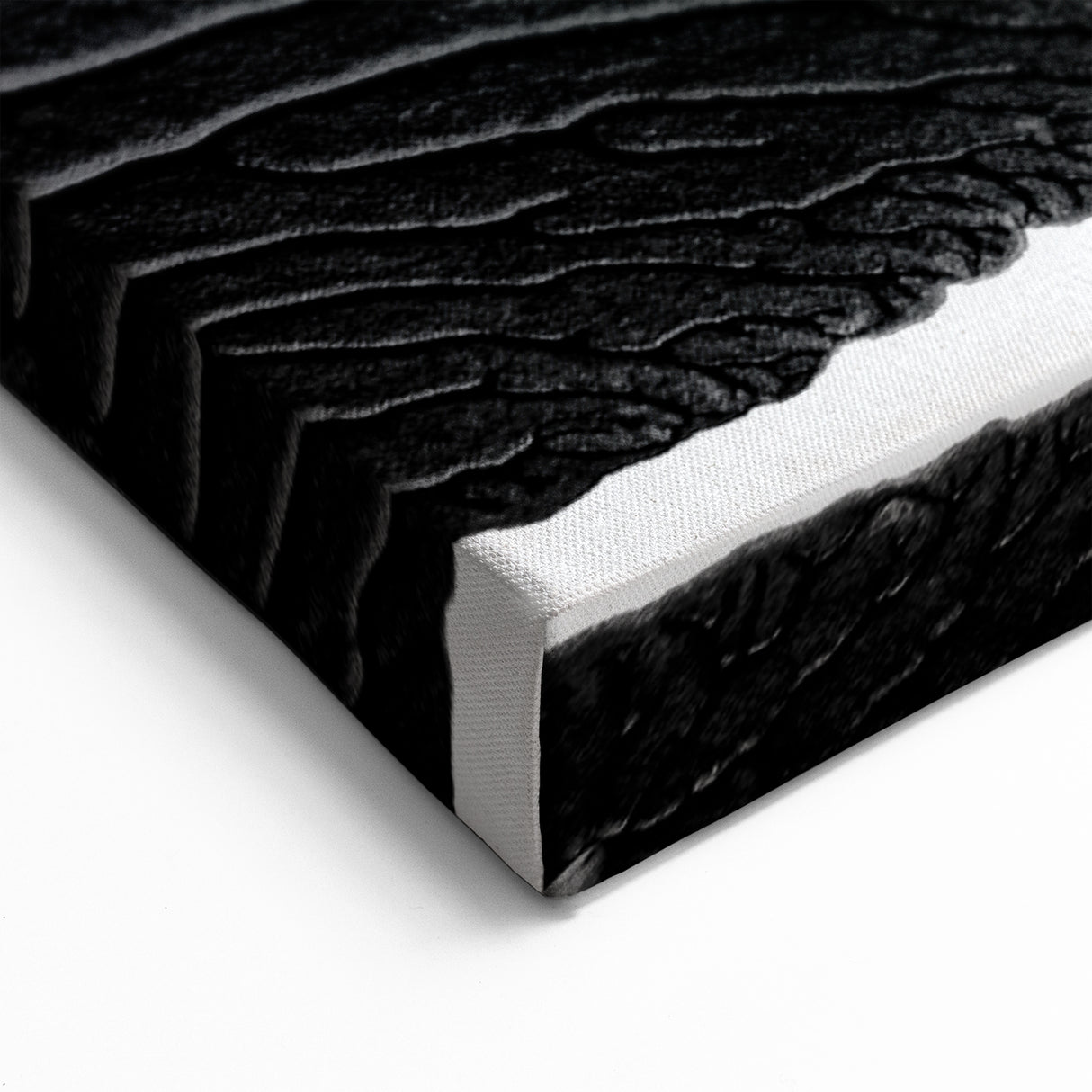 Textured Black and White Abstract Art | Monochrome Canvas Design